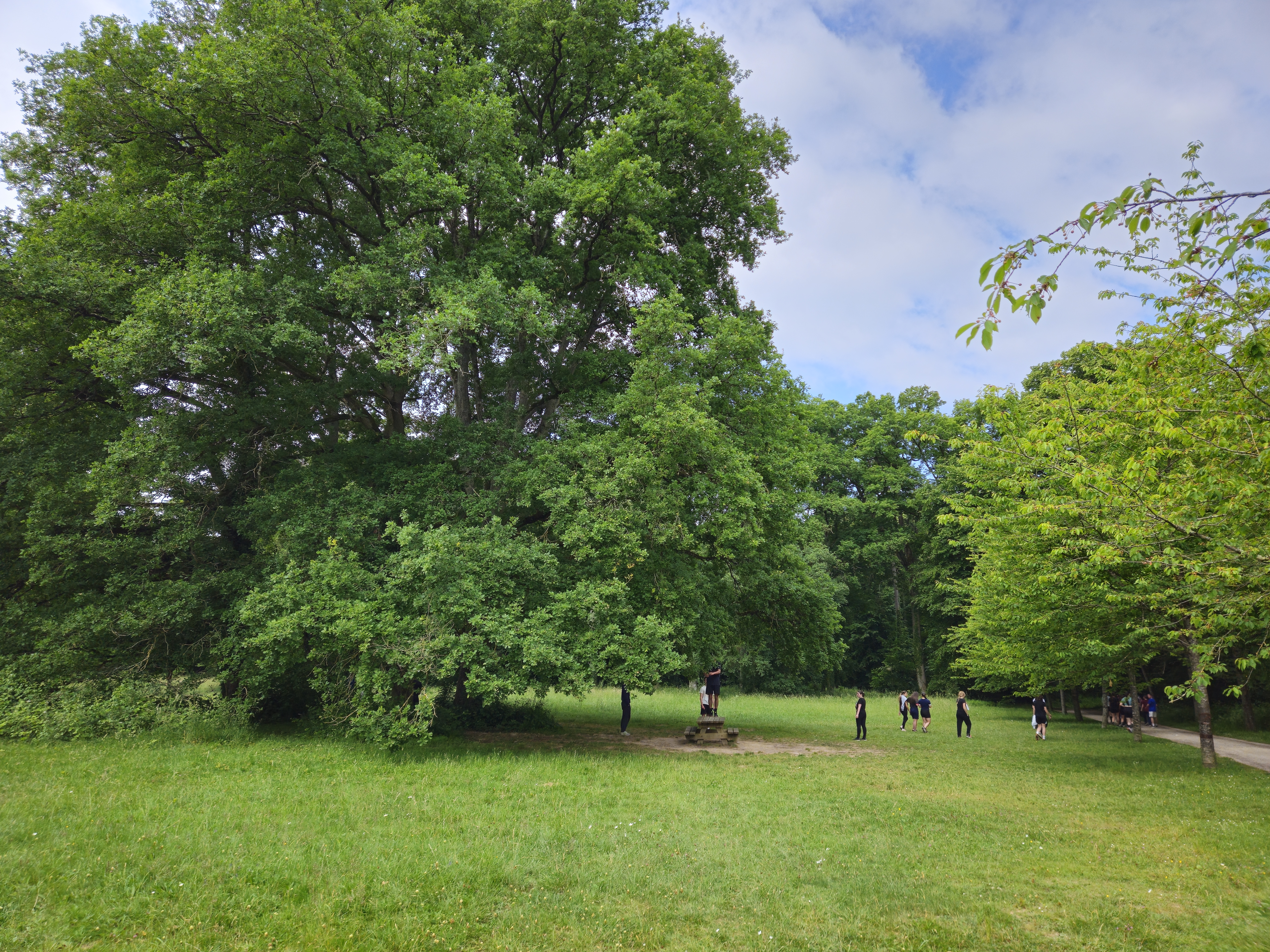 Le parc des Grandes Brosses à Mettray