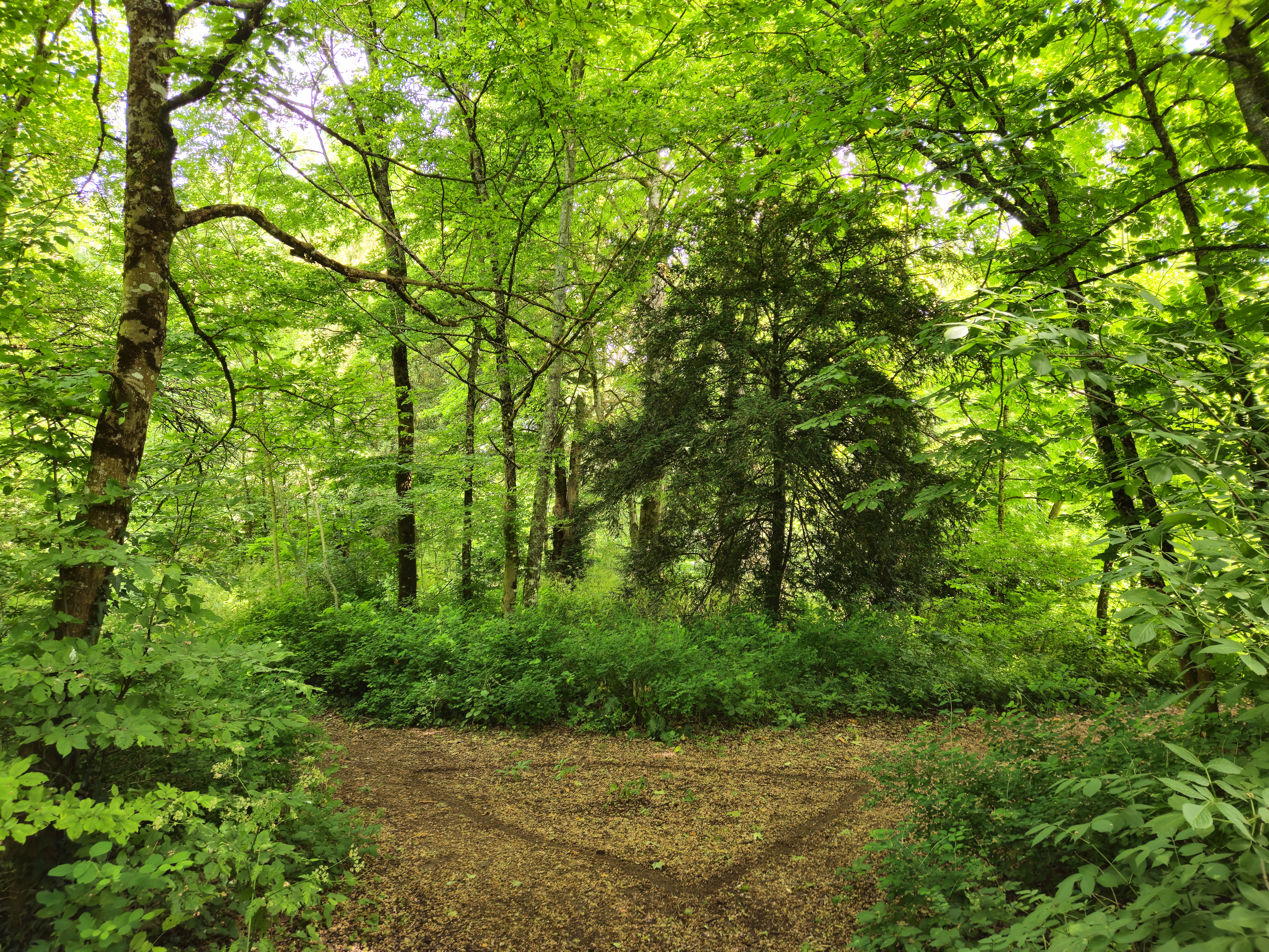 Le parc de la Chambrerie à Tours