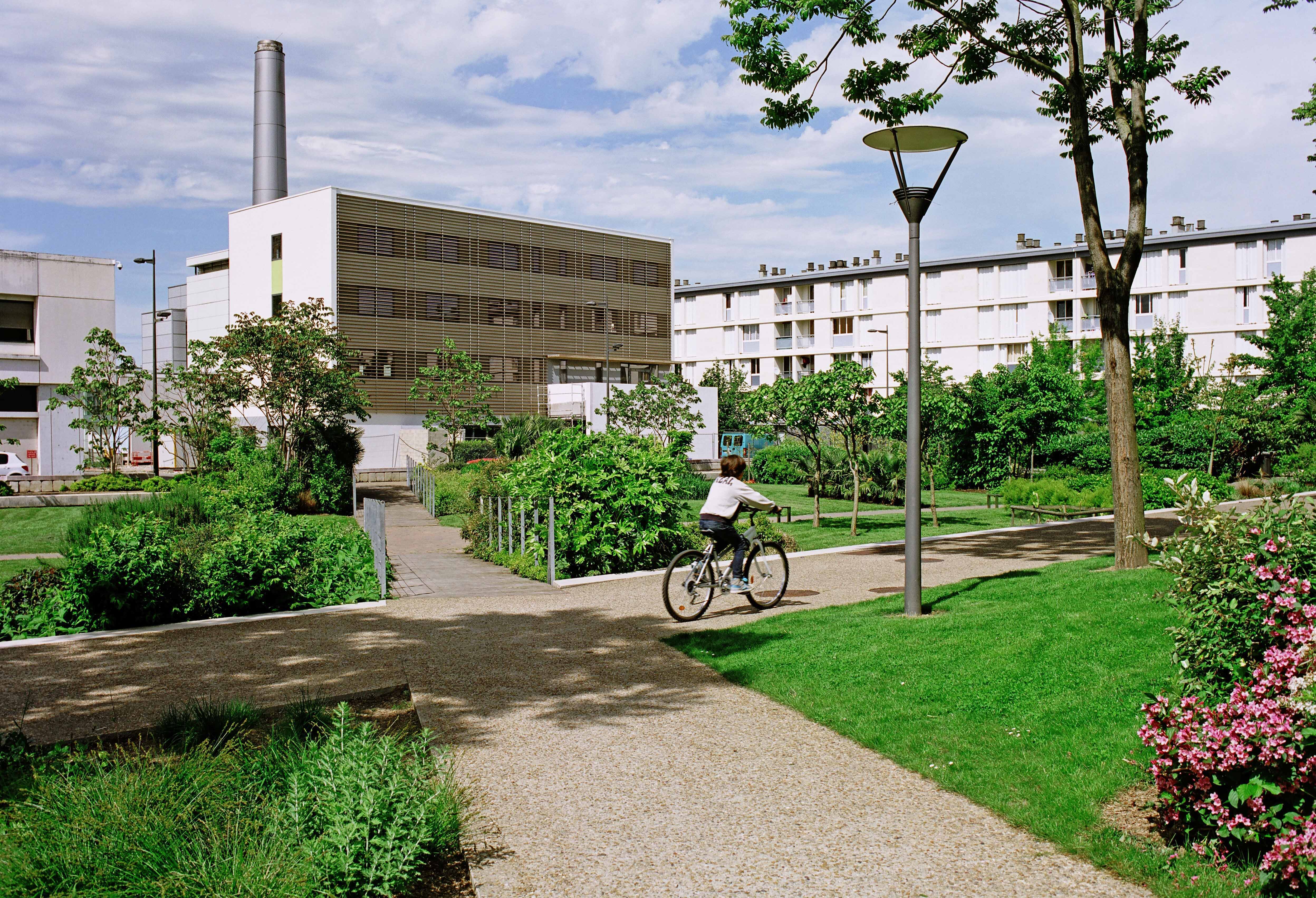 pepiniere sanitas pepiniere sanitas